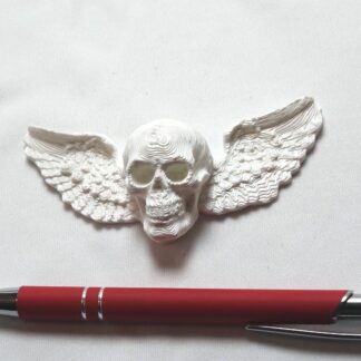 Koriste 17. väri: valkoinen