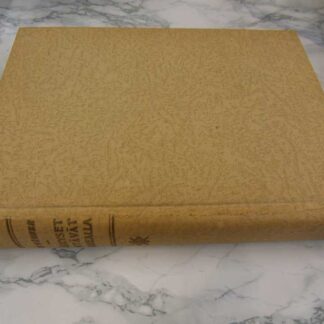 Pääskyset Lentävät Korkealla, Elin Wägner