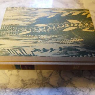 Kuninkaan Kenraali, Daphne du Maurier