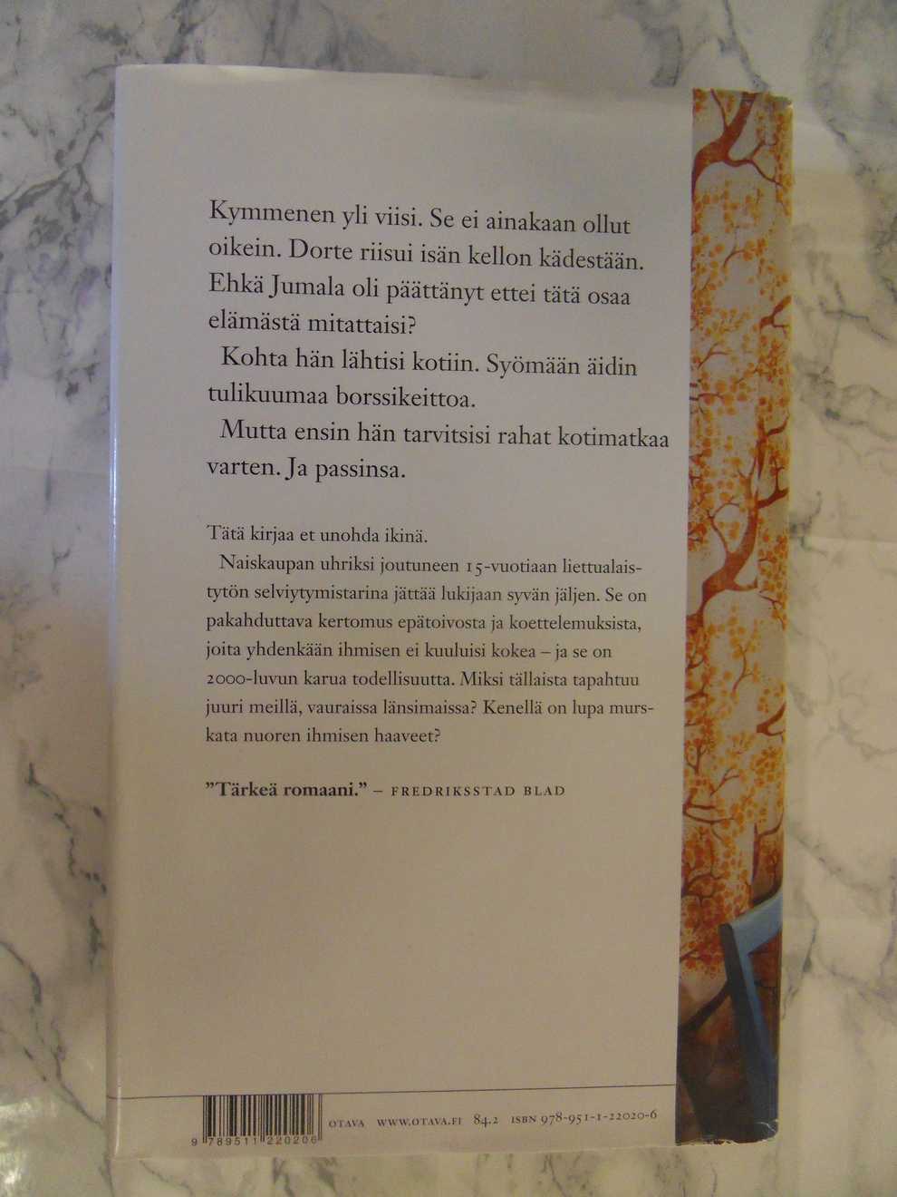Lasi maitoa, kiitos, Herbjorg Wassmo - Image 2